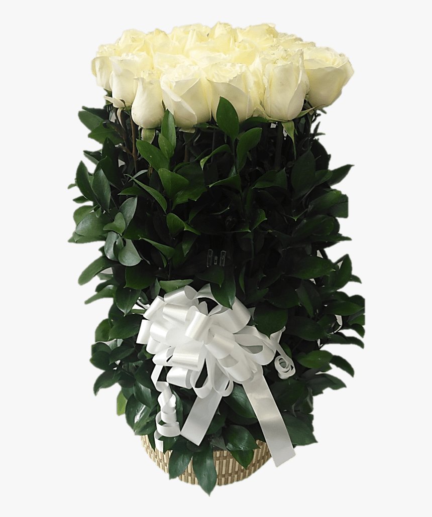 Garden Roses, HD Png Download