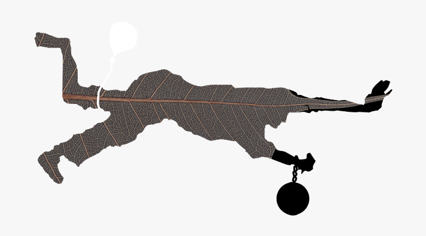 Cannon, HD Png Download