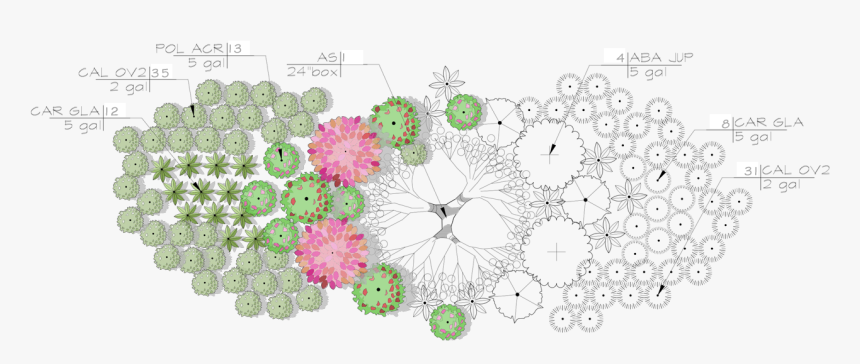 Circle, HD Png Download