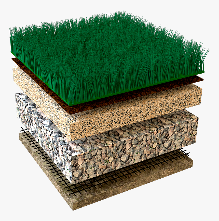 Lawn, HD Png Download