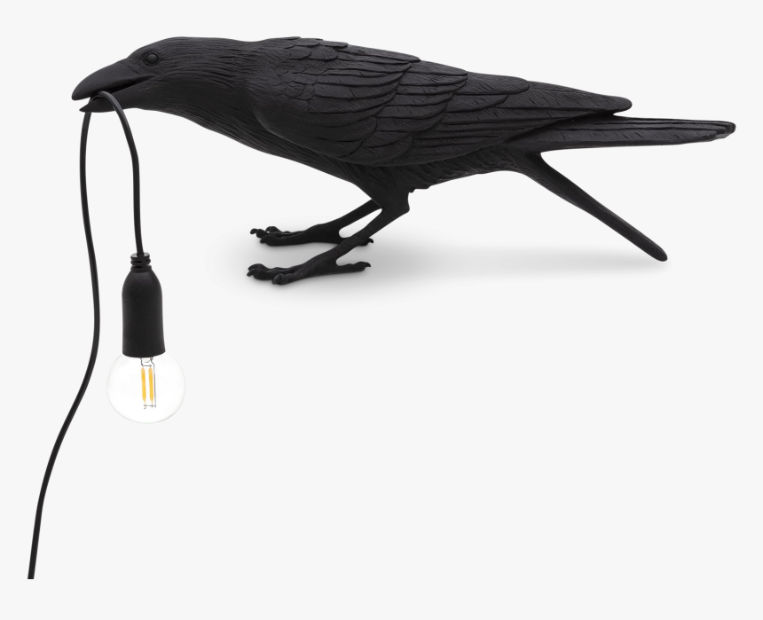 Bird Black Waiting Seletti, HD Png Download