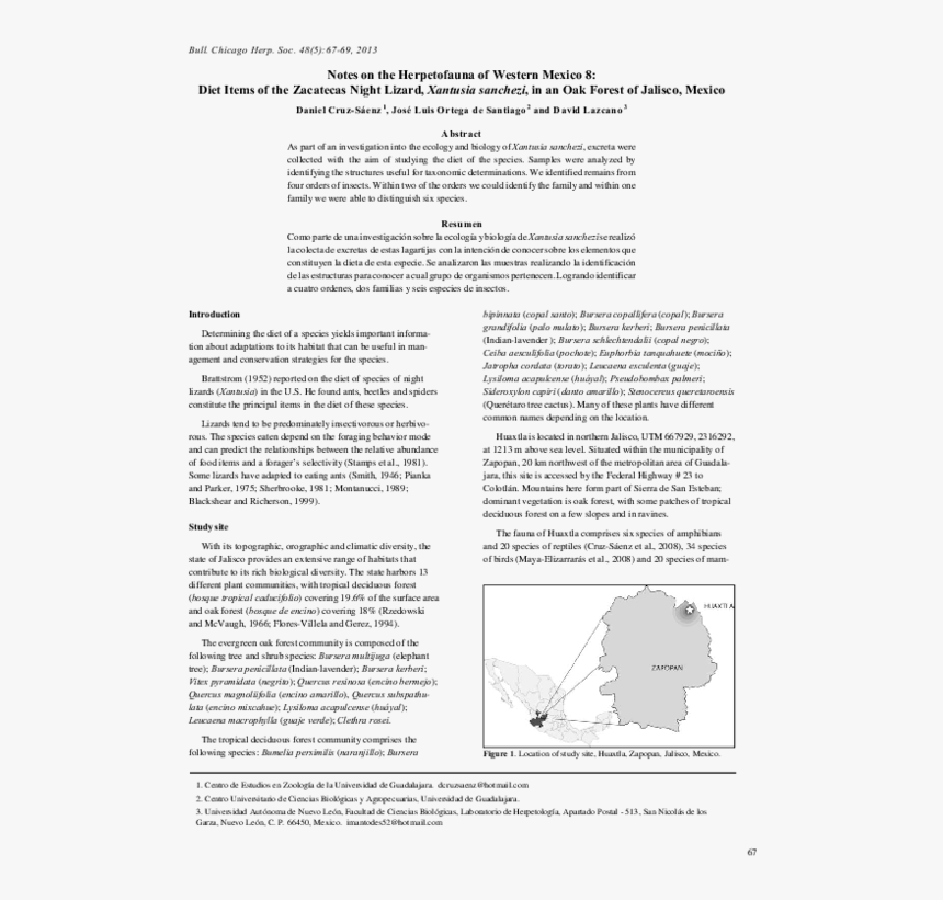 Document, HD Png Download