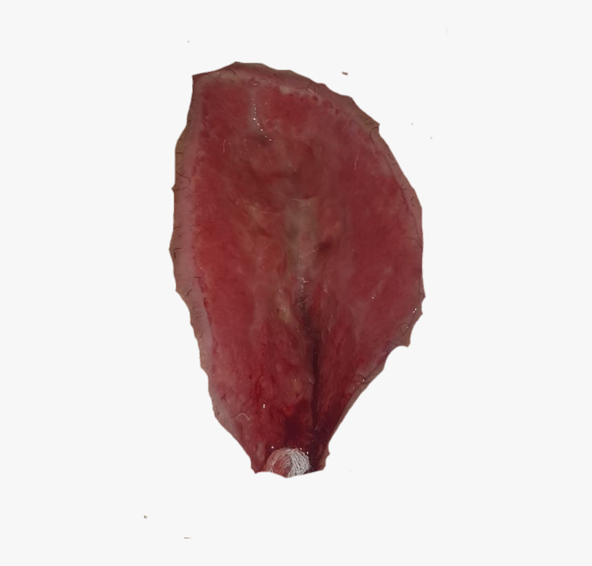Corned Beef, HD Png Download