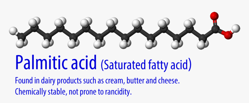 The White Balls Are Hydrogen, The Black Are Carbon, - Saturated Fatty Acids Palmitic Acid, HD Png Download