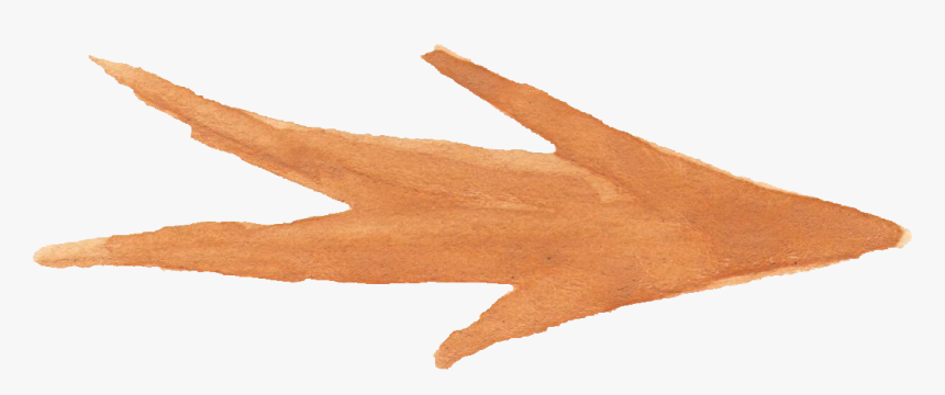 Coral Aloe, HD Png Download