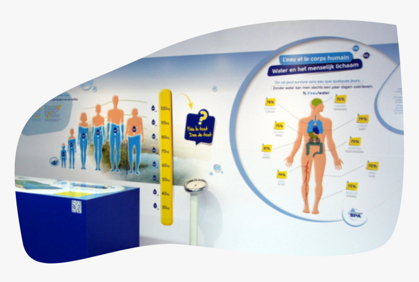 Banner, HD Png Download