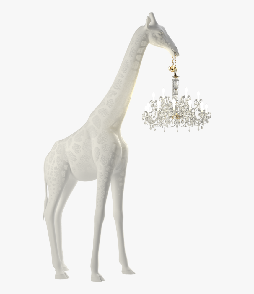 Giraffe In Love, HD Png Download