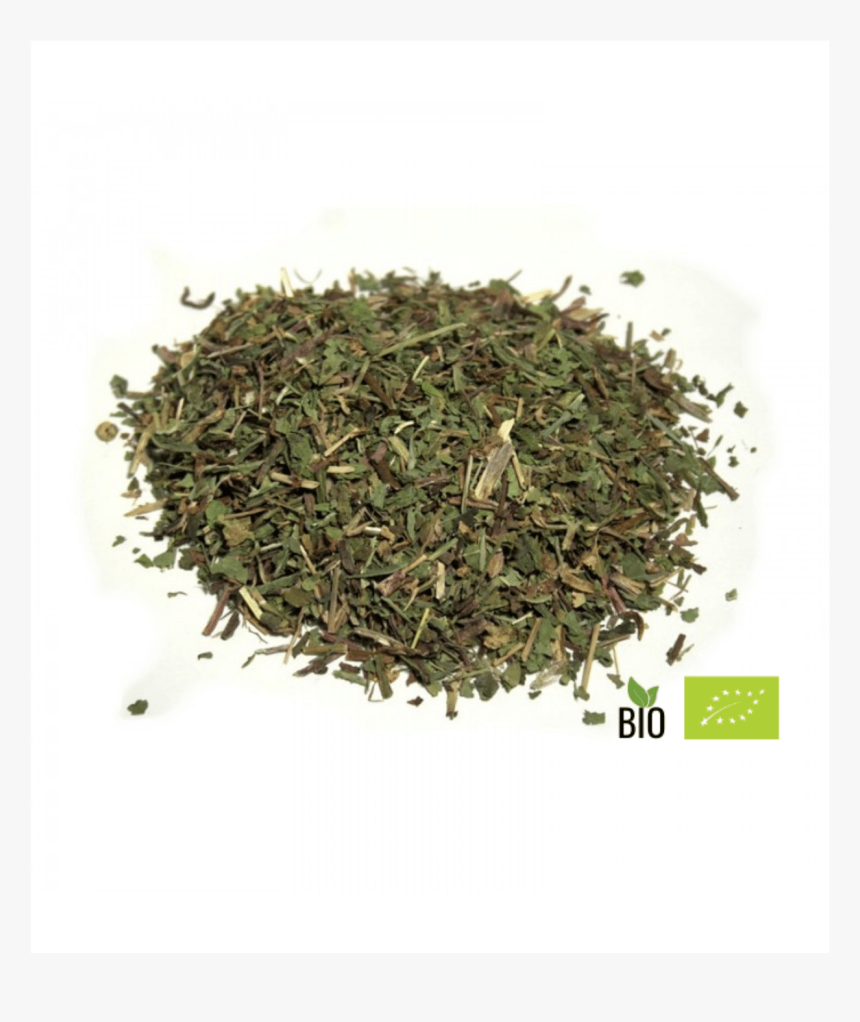 Infusion Diente De Leon Bio, HD Png Download