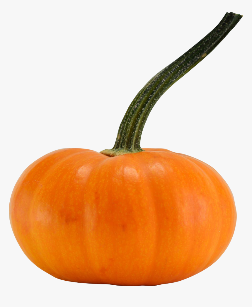 Pumpkin, HD Png Download