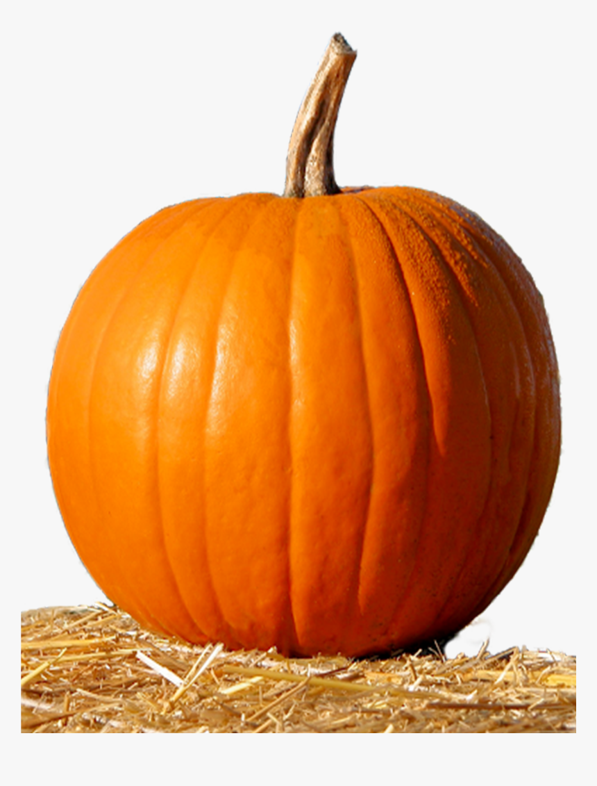 Pumpkin, HD Png Download