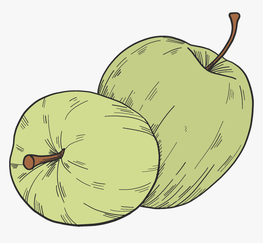Winter Squash, HD Png Download