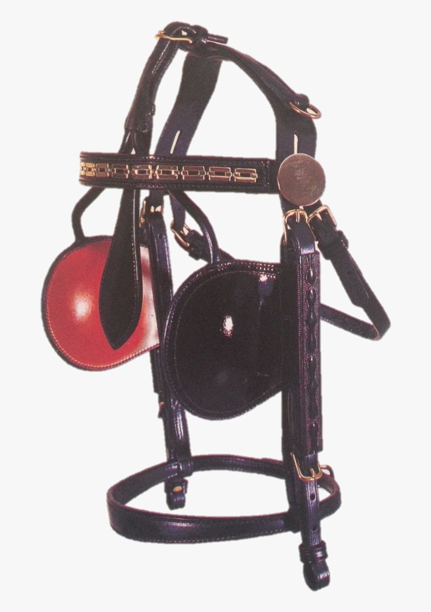 Saddle, HD Png Download