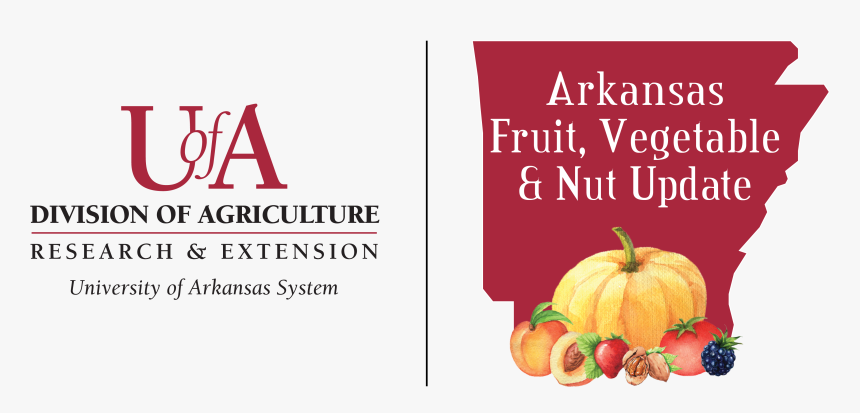 Arkansas Fruit Vegetable Nuts Update - University Of Arkansas Division, HD Png Download
