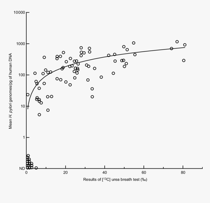 Plot, HD Png Download