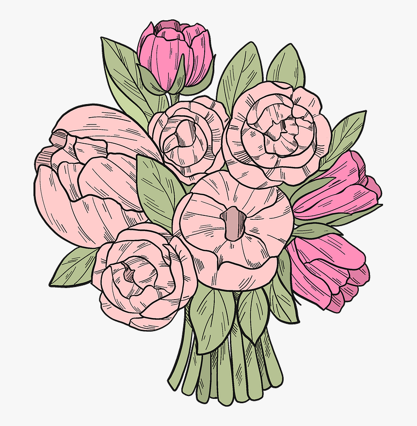 Japanese Camellia, HD Png Download