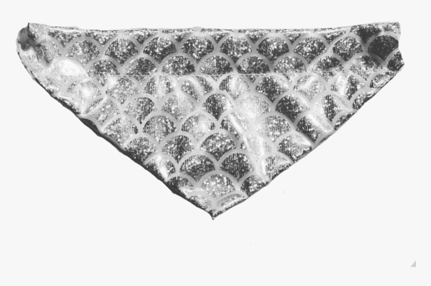 Grey Whale, HD Png Download