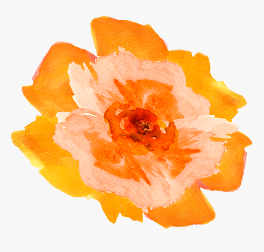 Transparent Floral Watercolor Png - Watercolor Orange Flowers Png, Png Download