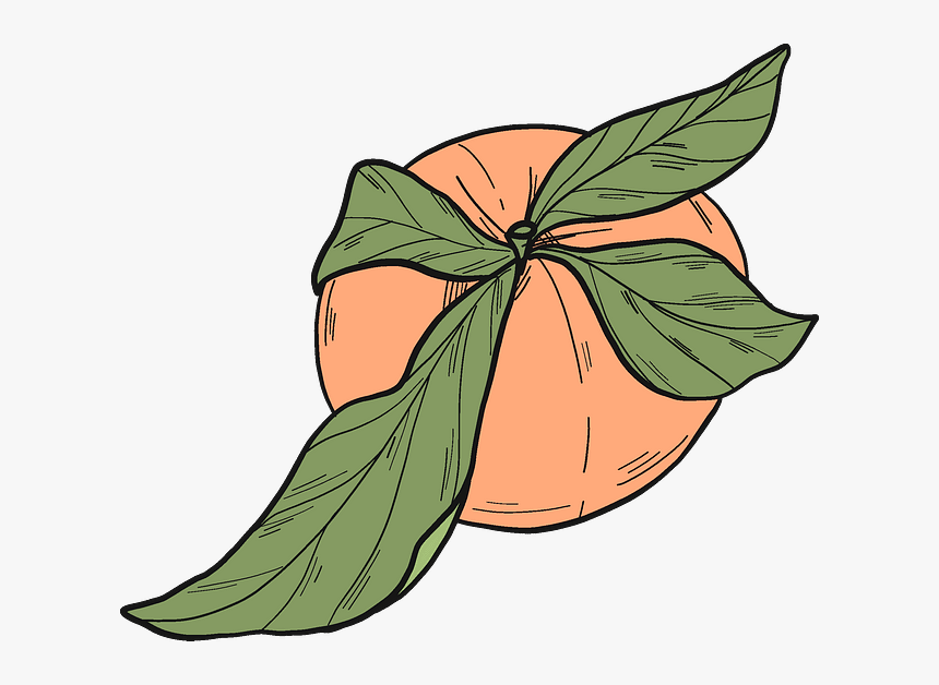 Clip Art, HD Png Download