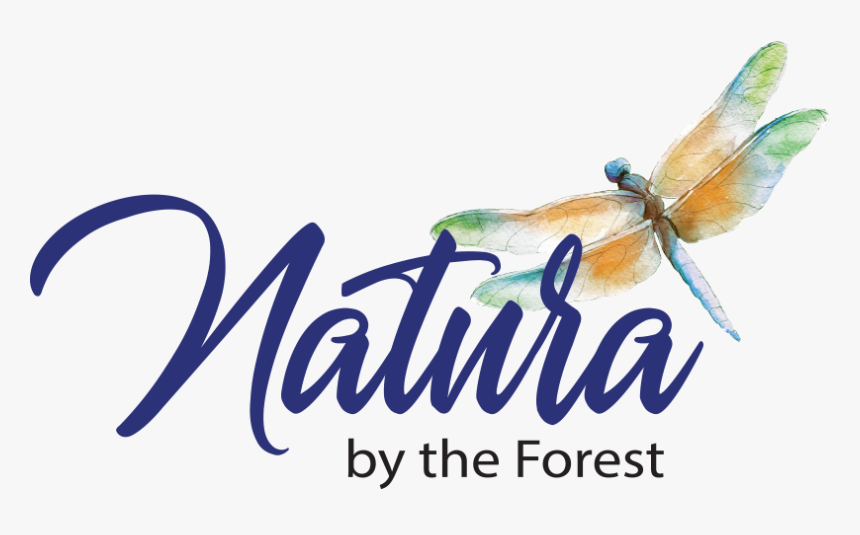 Calligraphy, HD Png Download