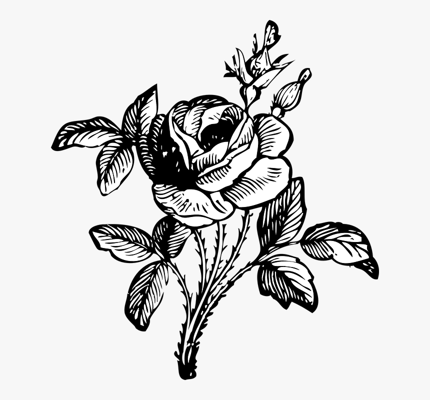 Flower Bouquet Clipart Black And White, HD Png Download