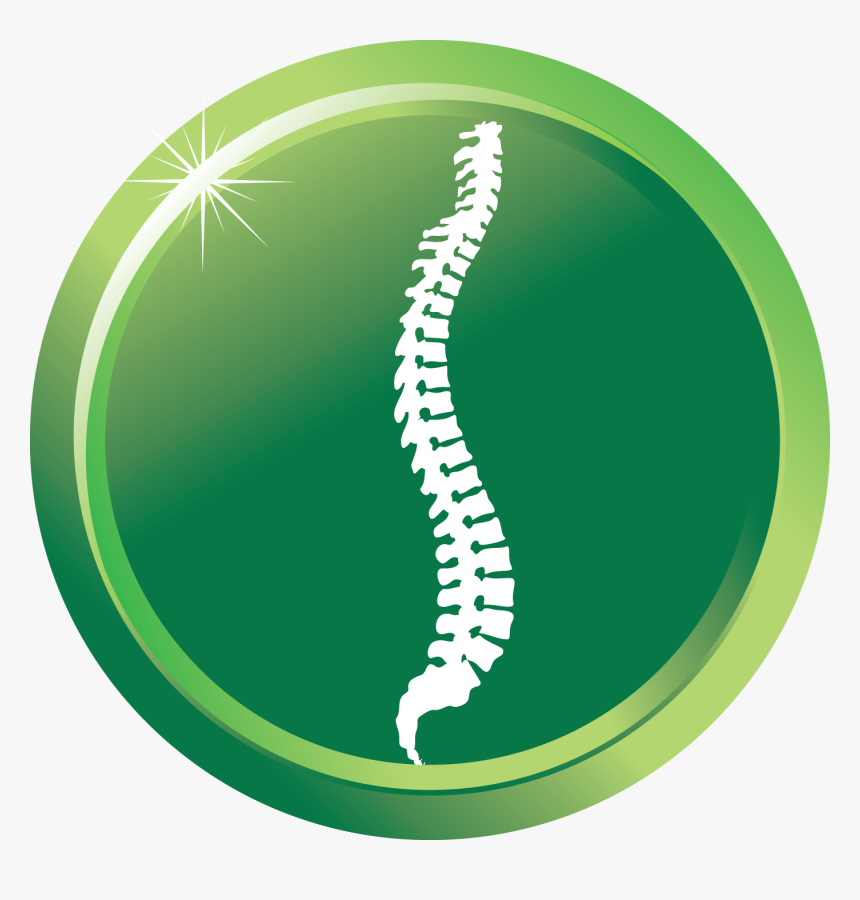 Chiropractic, HD Png Download