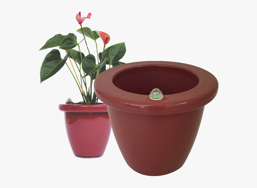 Flowerpot, HD Png Download