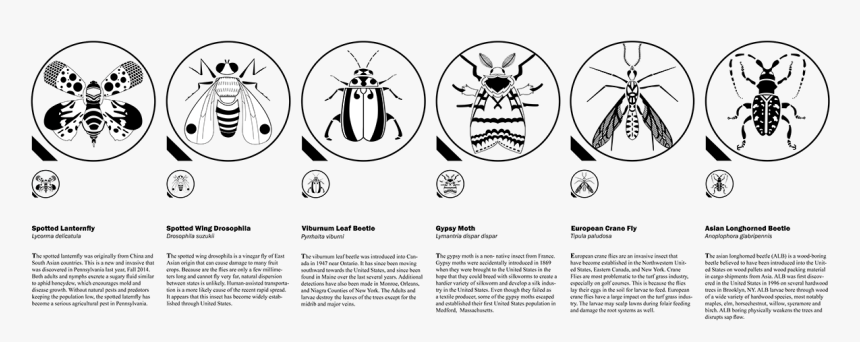 Thumb Image - Circle, HD Png Download