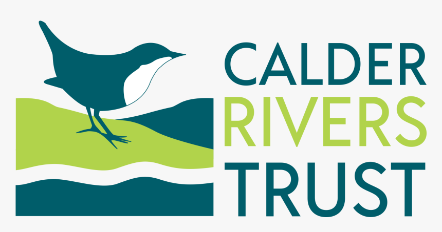 Crt Colour Logo Web Transparent 1 , Png Download - Old World Flycatcher, Png Download