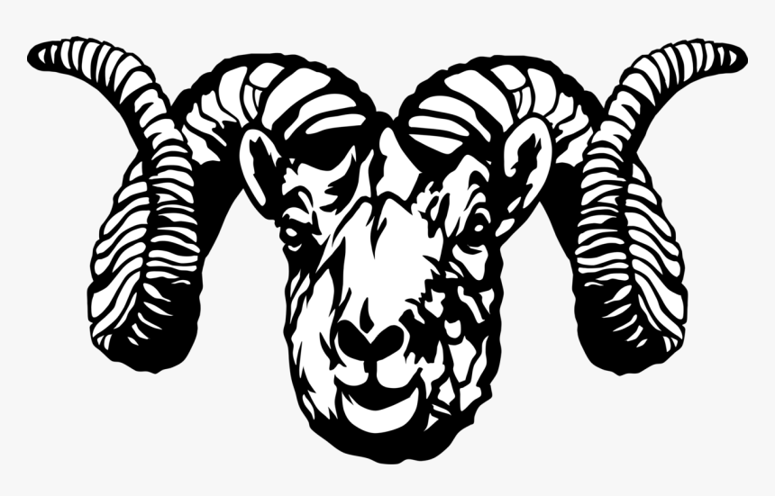 Sheep, Head, Skull, Face, Horns, Mammal, Livestock - Black And White Ram Clip Art, HD Png Download