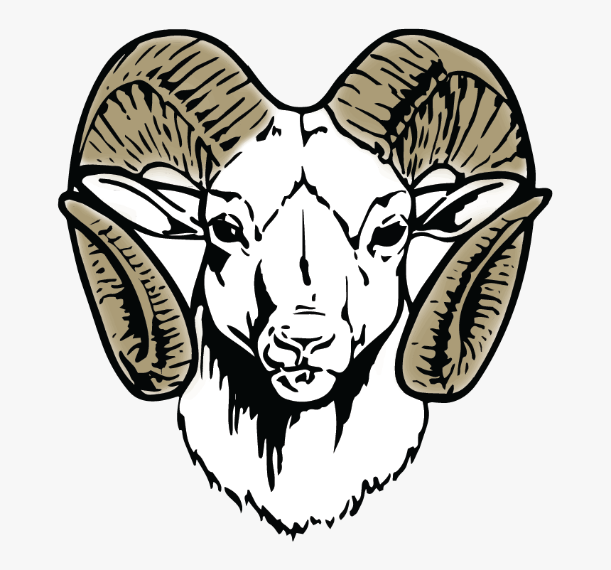 Argali,sheep,head,line Art,goat Antelope,wing,black - Newton County High School Mascot, HD Png Download