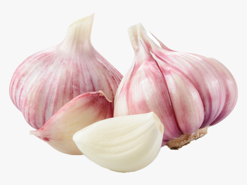 Ajo Violeta - Home - Pink Garlic, HD Png Download