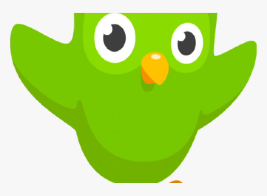 Duolingo Enables English Speakers To Learn Hebrew For - You Missed Your Spanish Lesson, HD Png Download