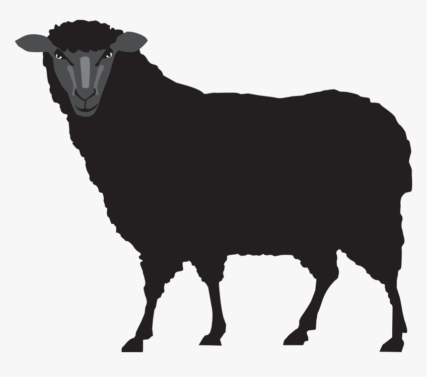 Sheep, HD Png Download