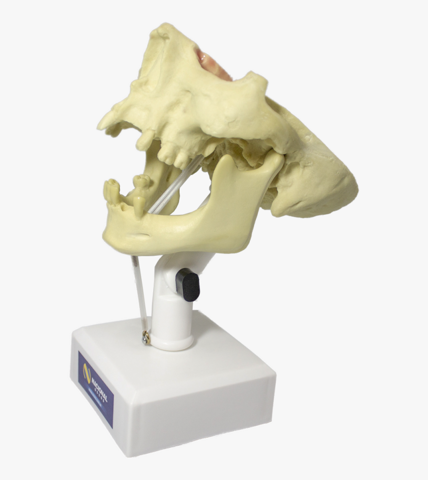 Transparent Manequim Png - Statue, Png Download