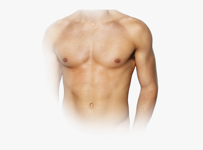 Image Of Model, HD Png Download