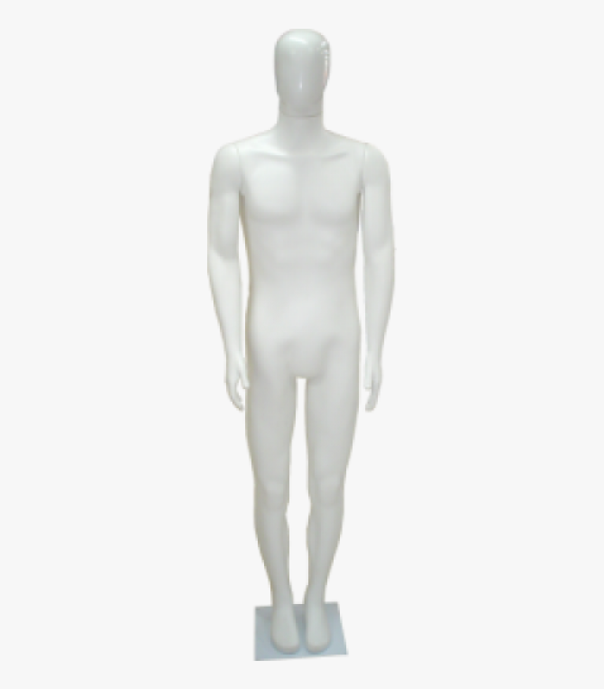 Clip Art Manequim Masculino Cabe A - Manequim Masculino Png, Transparent Png