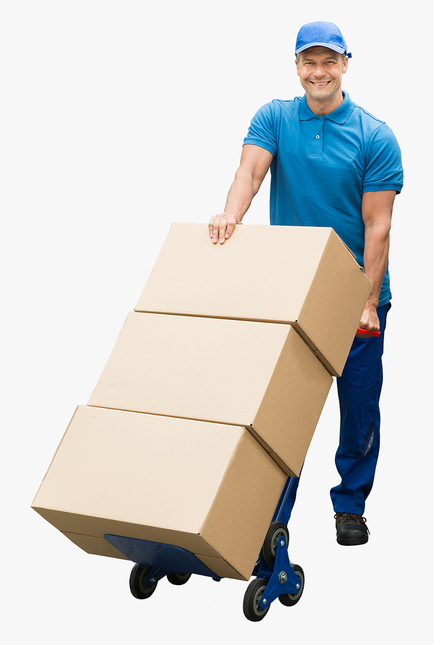 Img - Plywood, HD Png Download