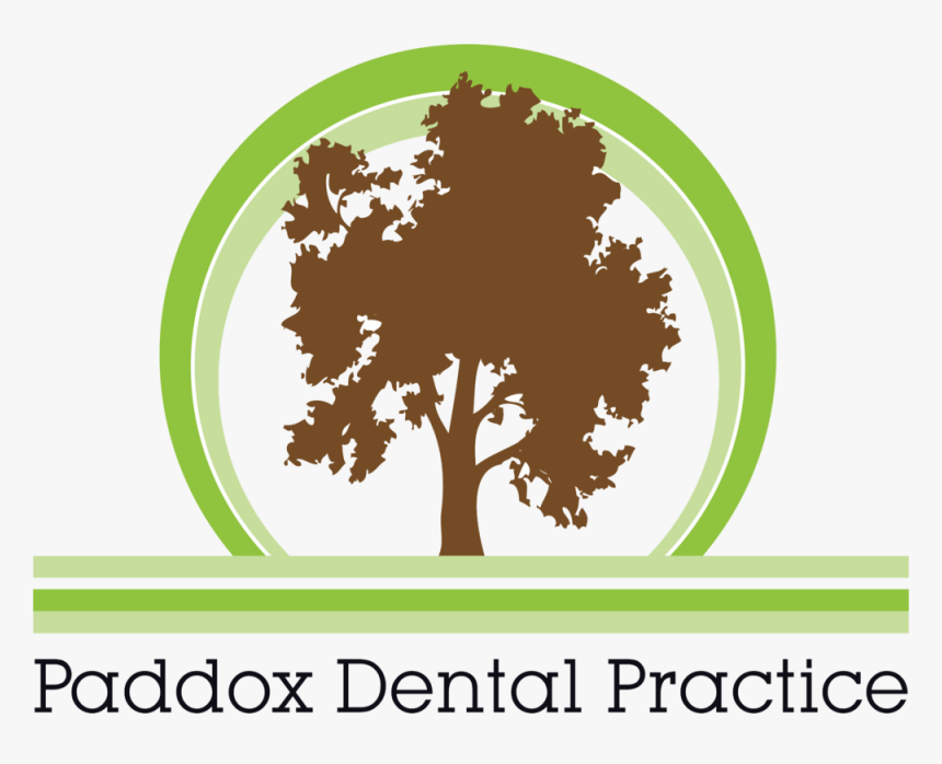 Transparent Dental Png - Illustration, Png Download