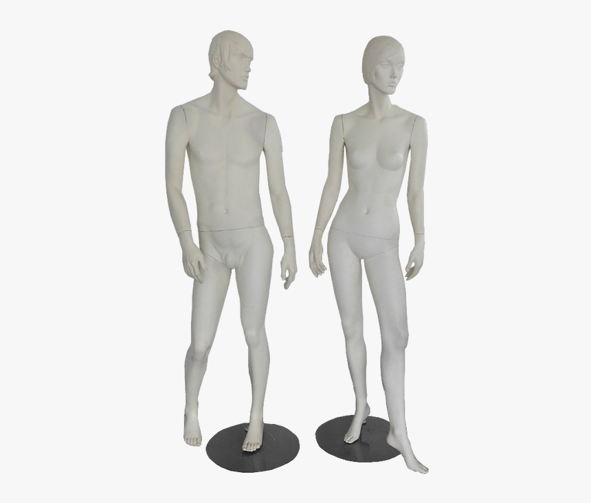 Standing, HD Png Download