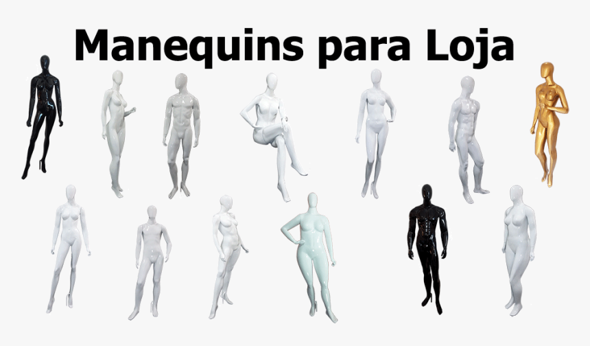 Standing, HD Png Download