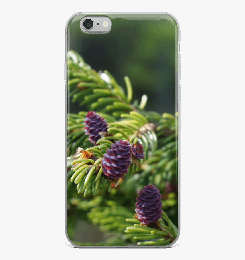 Smartphone, HD Png Download