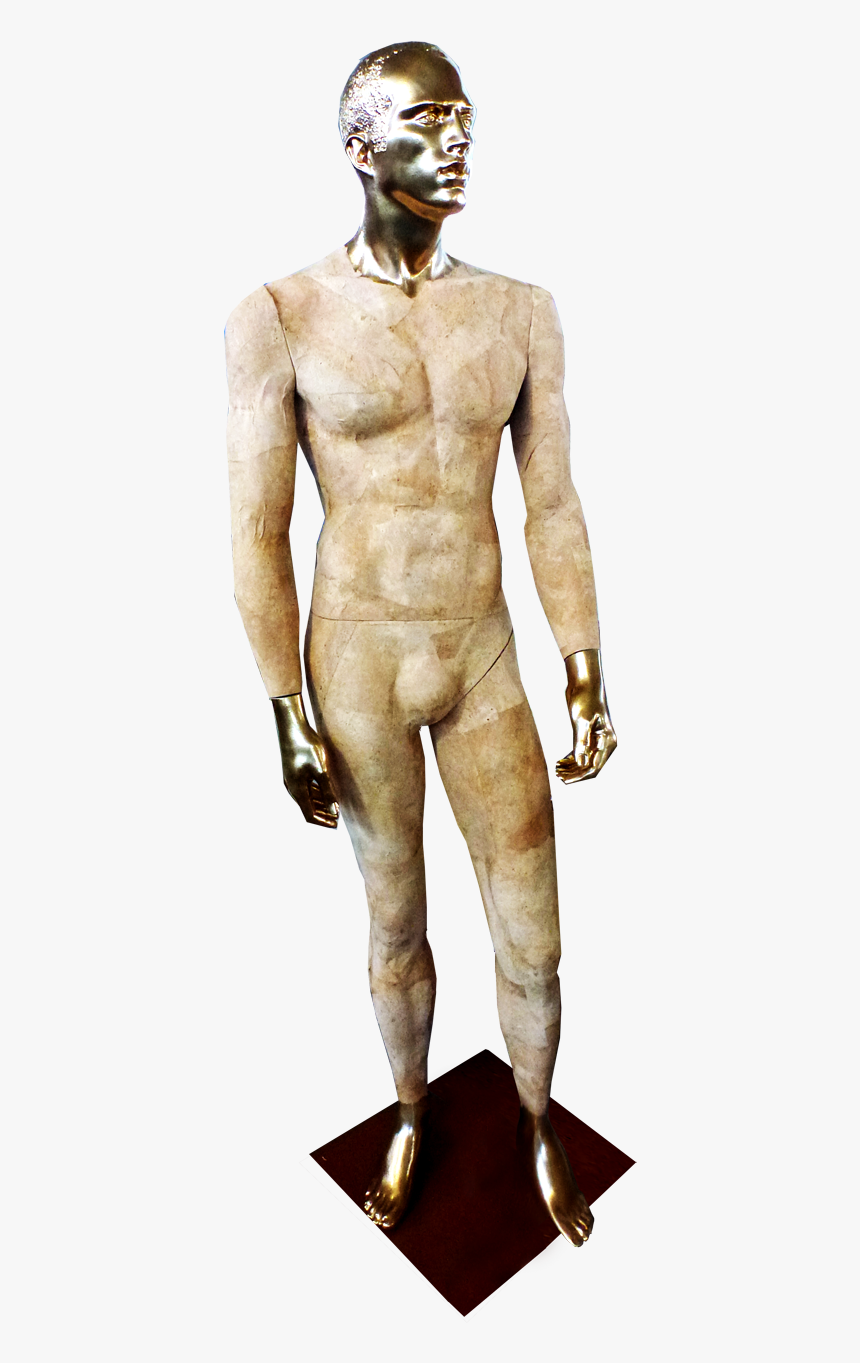 Standing, HD Png Download