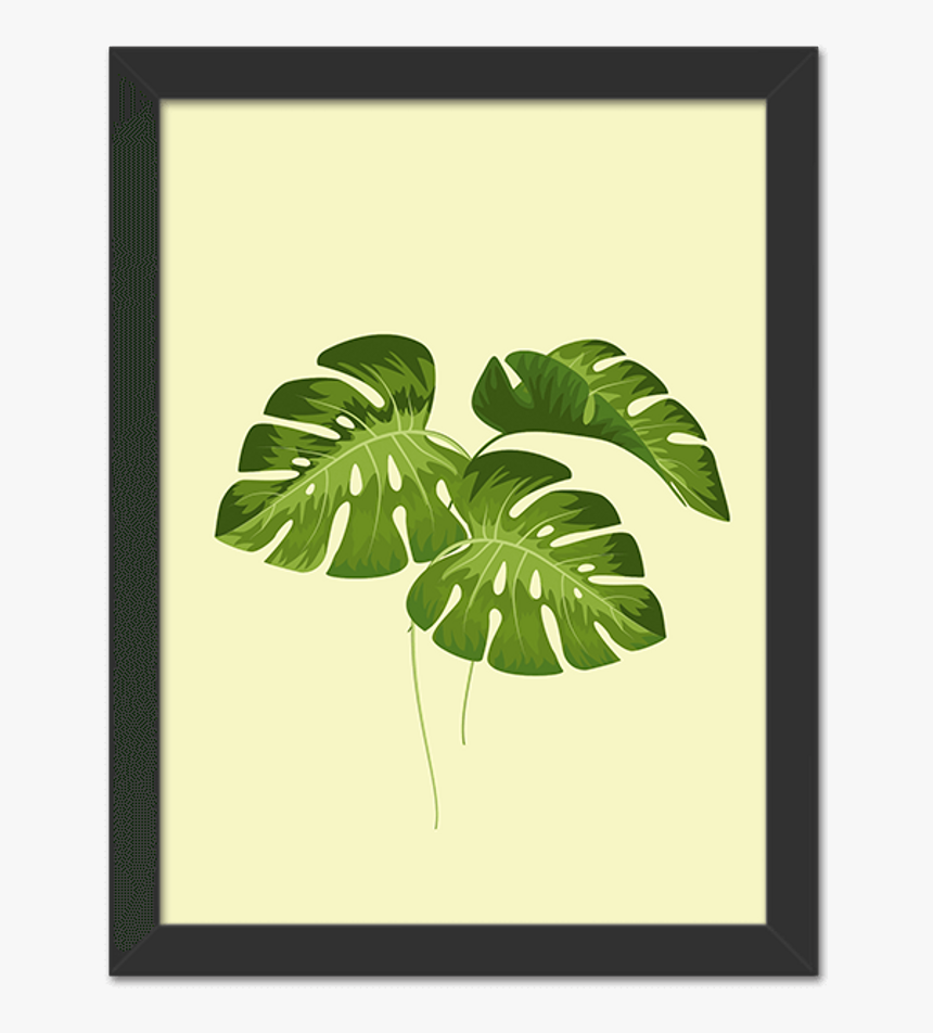 Laminas De Hojas Verdes Hd Png Download Transparent Png Image