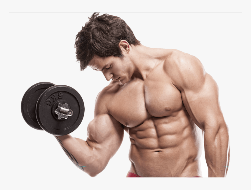 Muscle Image Purepng Free - Build Muscle, Transparent Png