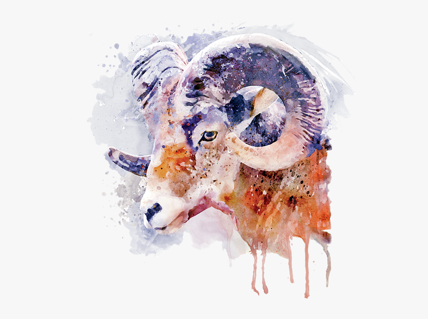 Bighorn Sheep Art, HD Png Download