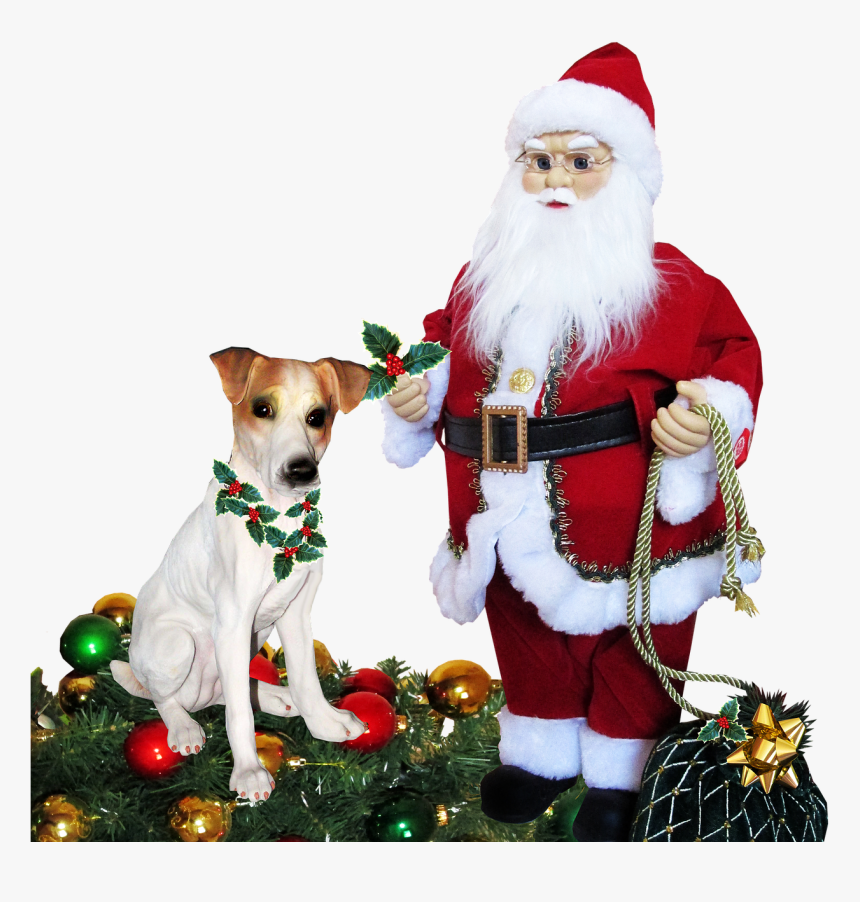 Transparent Christmas Santa Png - Christmas Celebrated, Png Download