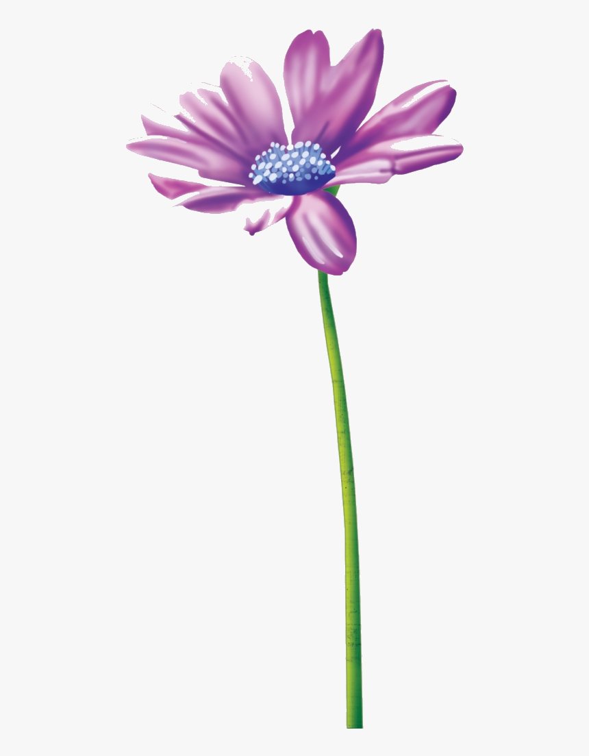 Thinking Of You Flower Clipart Tube Clip Art Stationery - African Daisy, HD Png Download