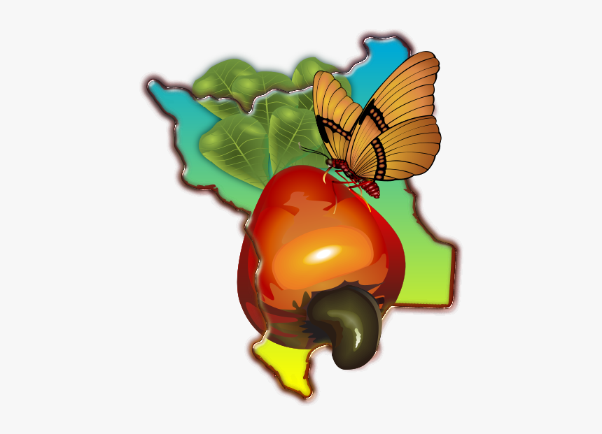 Caju Clipart, HD Png Download