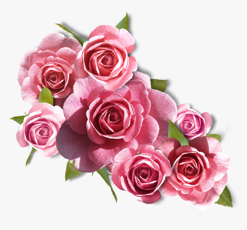 Rose Images, Flower Images, Rose Pictures, Flower Art, - Ramos De Rosa Png, Transparent Png