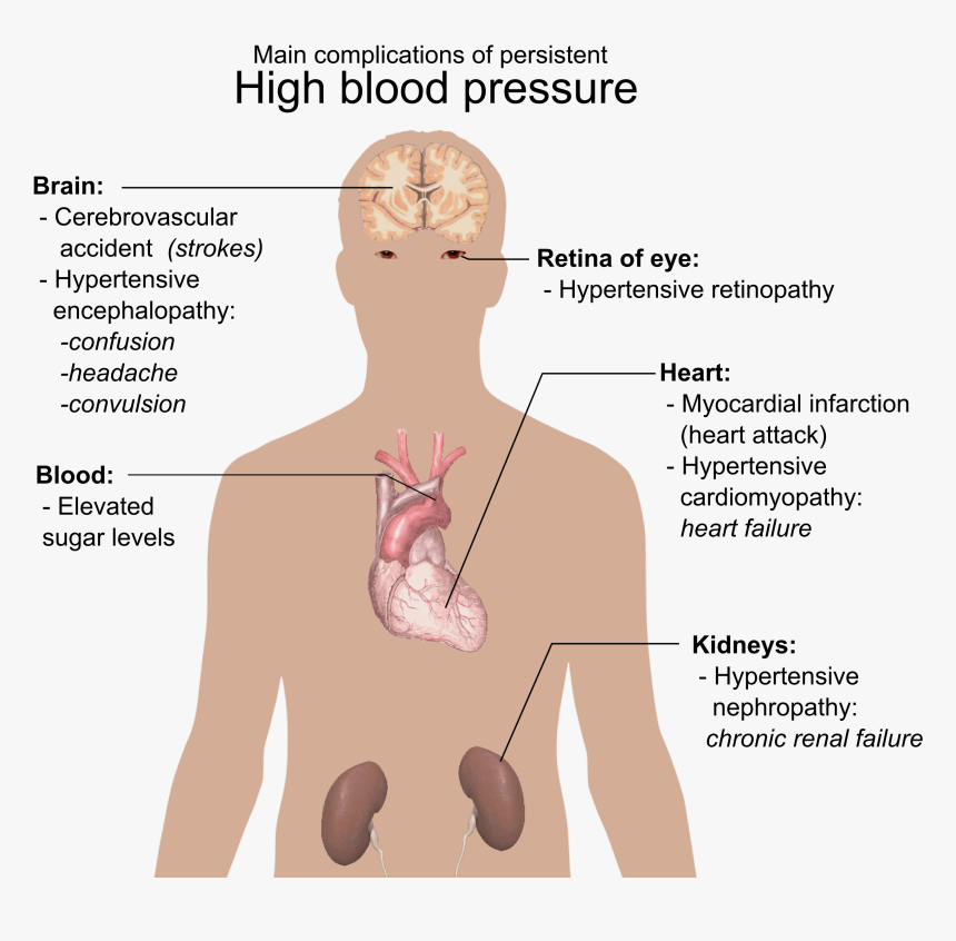 Main Complications Of Persistent High Blood Pressure - High Blood Pressure Nails, HD Png Download